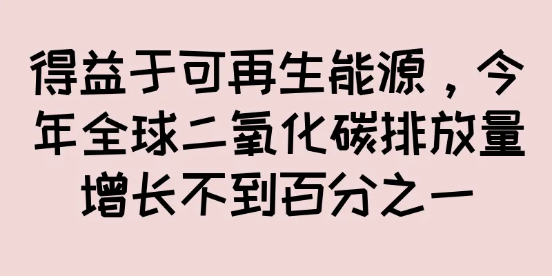 得益于可再生能源，今年全球二氧化碳排放量增长不到百分之一