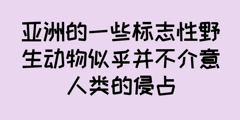 亚洲的一些标志性野生动物似乎并不介意人类的侵占