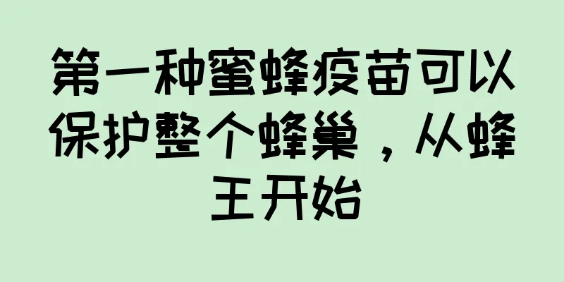 第一种蜜蜂疫苗可以保护整个蜂巢，从蜂王开始