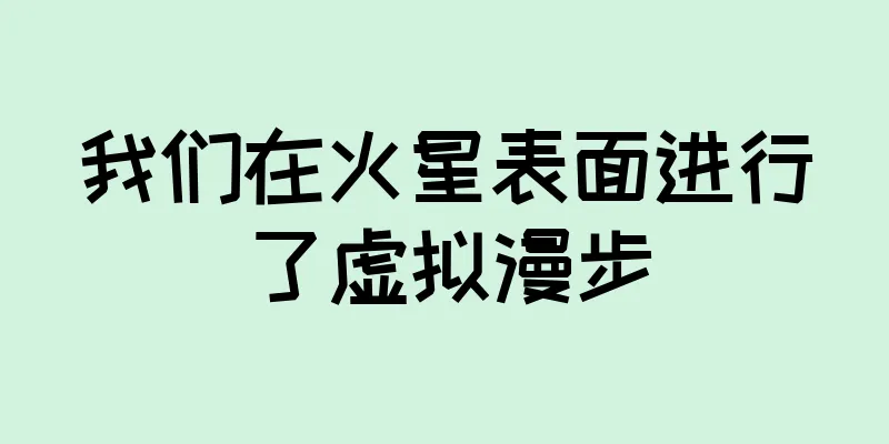 我们在火星表面进行了虚拟漫步