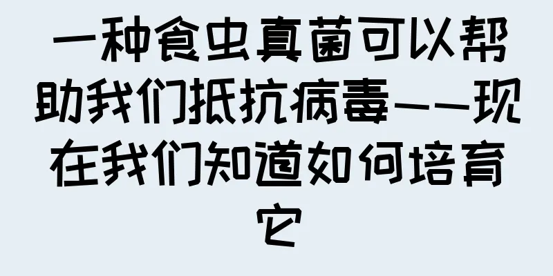 一种食虫真菌可以帮助我们抵抗病毒——现在我们知道如何培育它