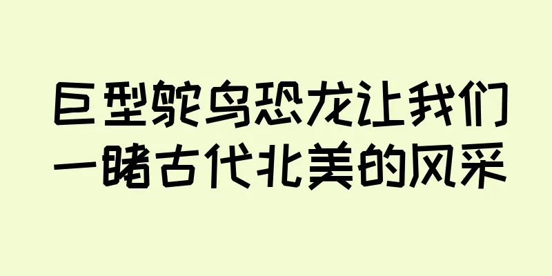 巨型鸵鸟恐龙让我们一睹古代北美的风采