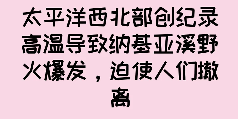 太平洋西北部创纪录高温导致纳基亚溪野火爆发，迫使人们撤离