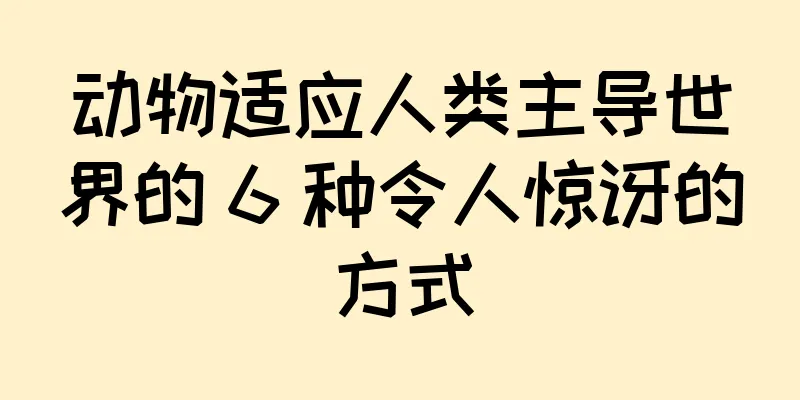动物适应人类主导世界的 6 种令人惊讶的方式