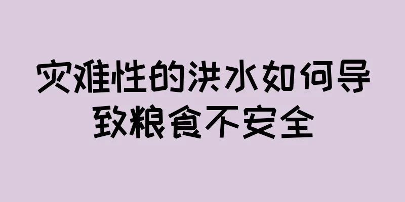 灾难性的洪水如何导致粮食不安全