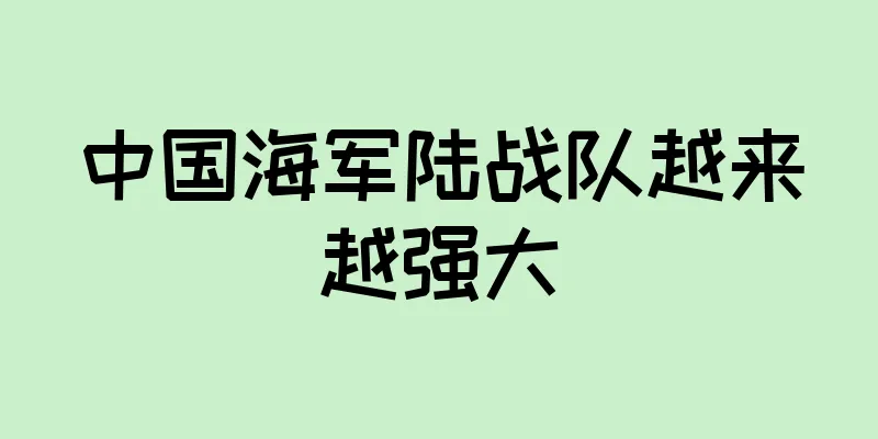 中国海军陆战队越来越强大