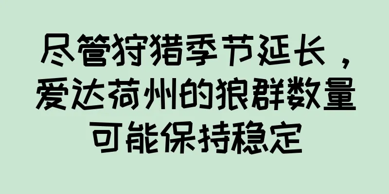 尽管狩猎季节延长，爱达荷州的狼群数量可能保持稳定