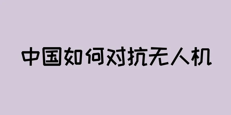 中国如何对抗无人机