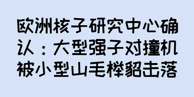 欧洲核子研究中心确认：大型强子对撞机被小型山毛榉貂击落