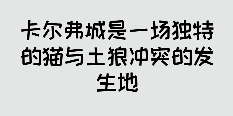 卡尔弗城是一场独特的猫与土狼冲突的发生地