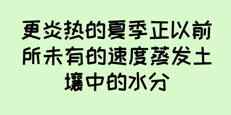 更炎热的夏季正以前所未有的速度蒸发土壤中的水分