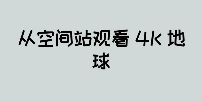 从空间站观看 4K 地球