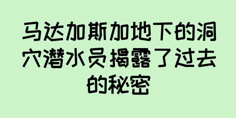 马达加斯加地下的洞穴潜水员揭露了过去的秘密