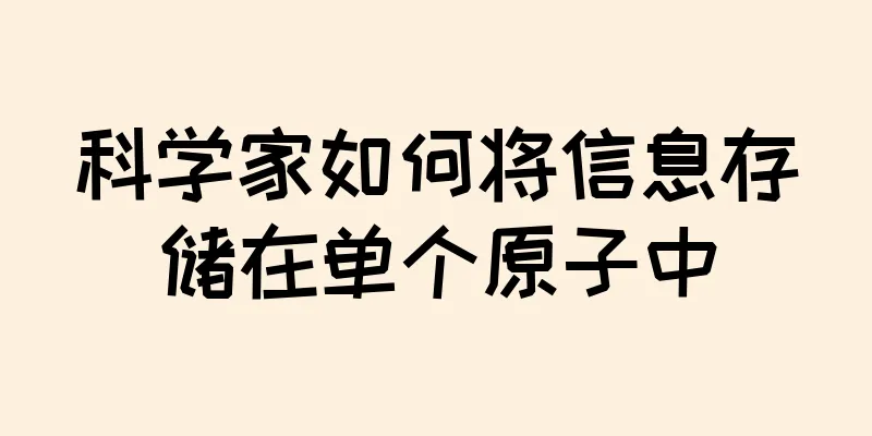 科学家如何将信息存储在单个原子中
