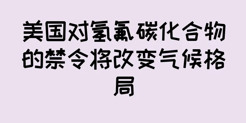 美国对氢氟碳化合物的禁令将改变气候格局