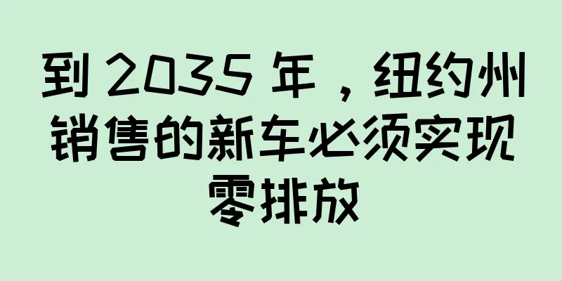 到 2035 年，纽约州销售的新车必须实现零排放