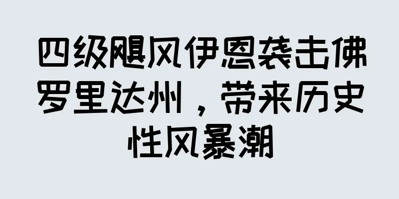 四级飓风伊恩袭击佛罗里达州，带来历史性风暴潮