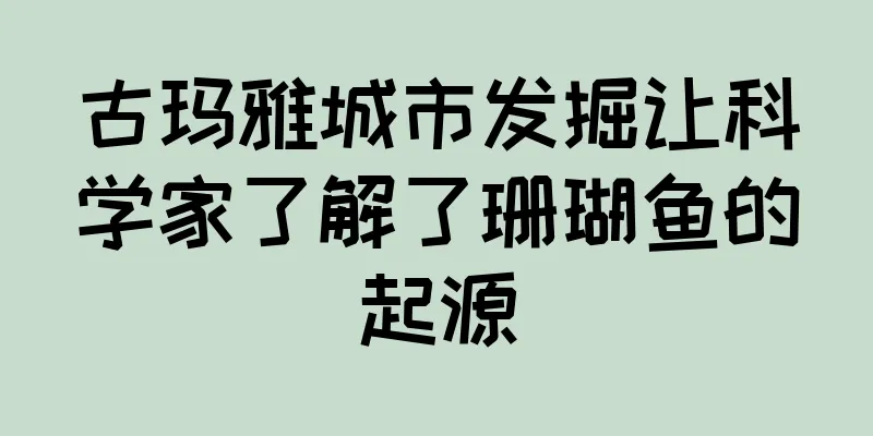 古玛雅城市发掘让科学家了解了珊瑚鱼的起源