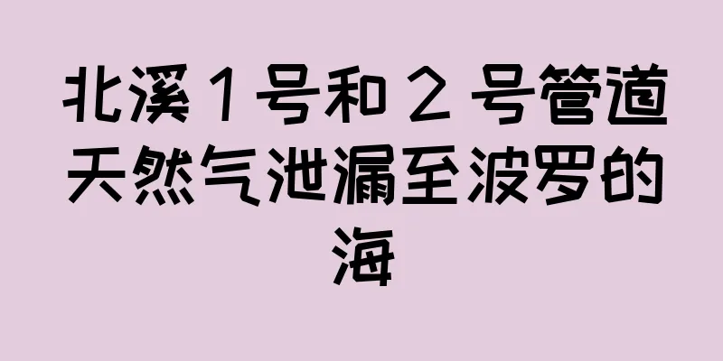 北溪 1 号和 2 号管道天然气泄漏至波罗的海