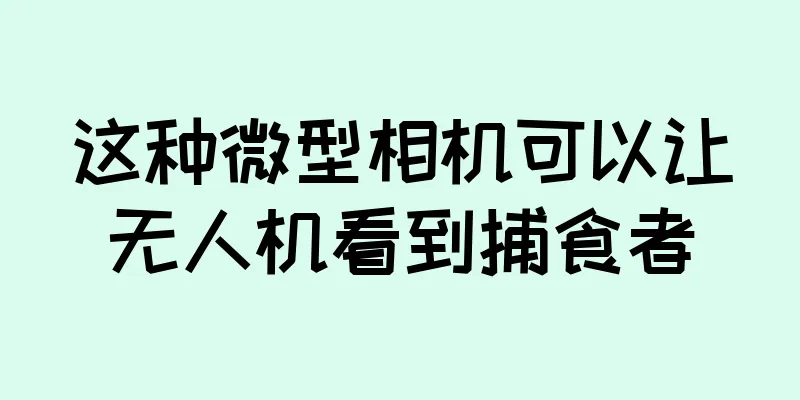 这种微型相机可以让无人机看到捕食者