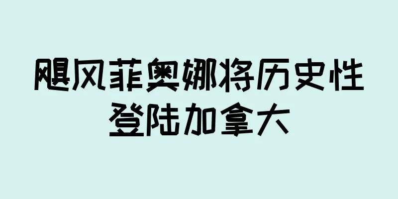 飓风菲奥娜将历史性登陆加拿大