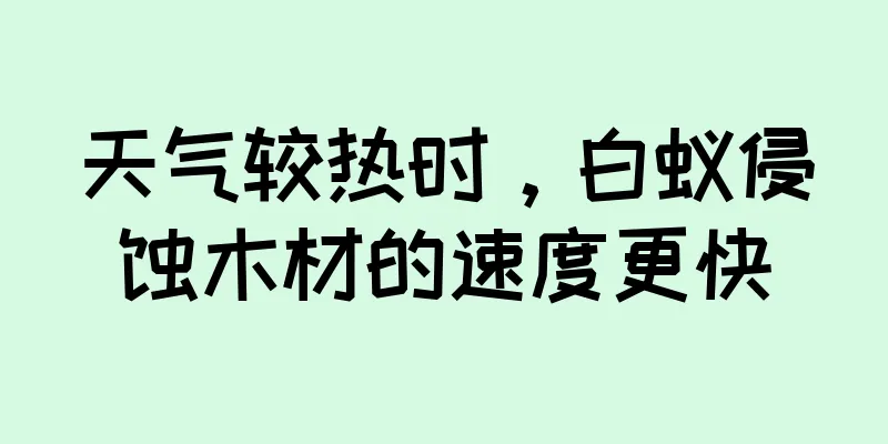 天气较热时，白蚁侵蚀木材的速度更快