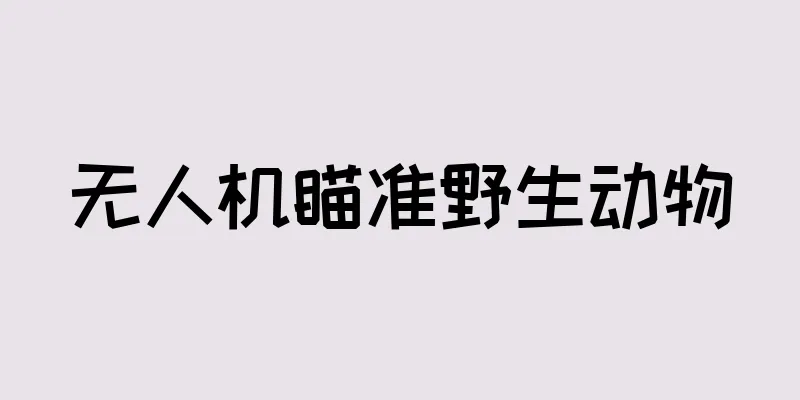 无人机瞄准野生动物