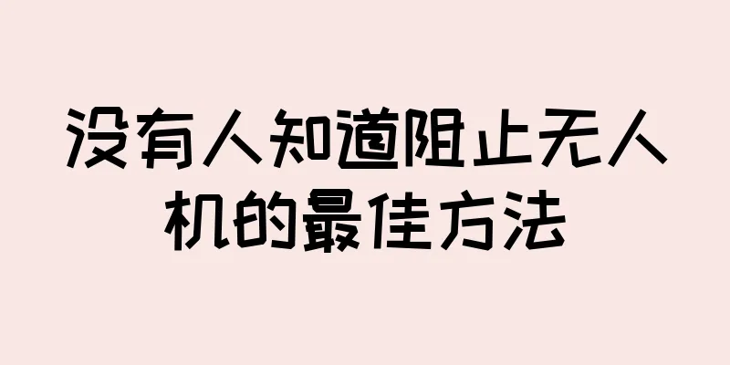 没有人知道阻止无人机的最佳方法
