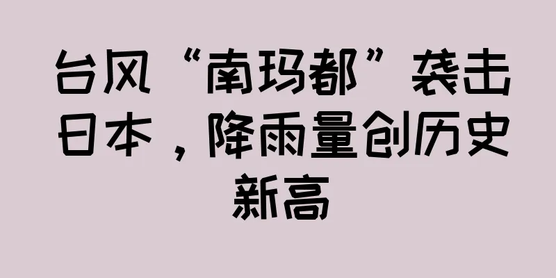 台风“南玛都”袭击日本，降雨量创历史新高