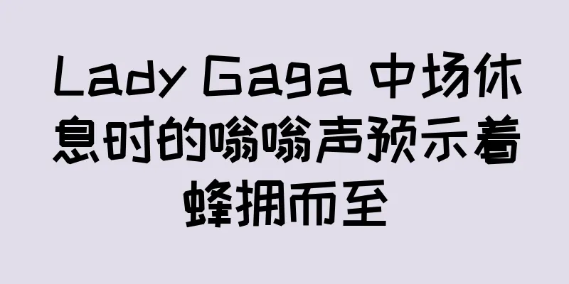Lady Gaga 中场休息时的嗡嗡声预示着蜂拥而至
