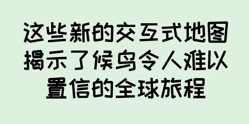 这些新的交互式地图揭示了候鸟令人难以置信的全球旅程