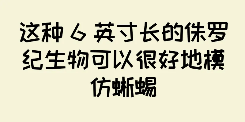 这种 6 英寸长的侏罗纪生物可以很好地模仿蜥蜴