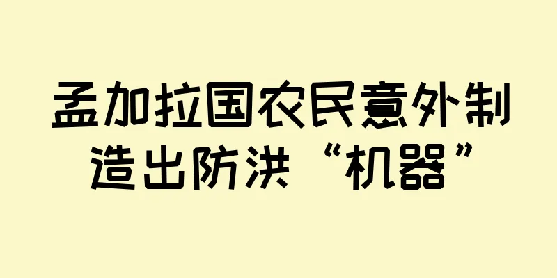 孟加拉国农民意外制造出防洪“机器”