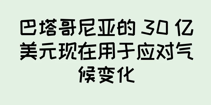 巴塔哥尼亚的 30 亿美元现在用于应对气候变化
