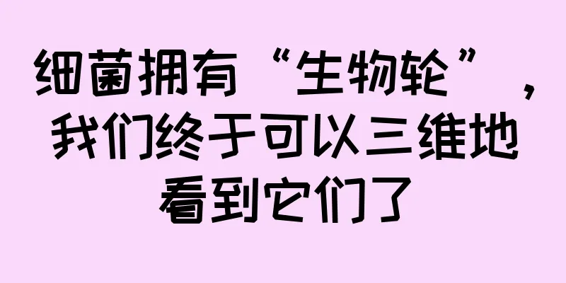 细菌拥有“生物轮”，我们终于可以三维地看到它们了