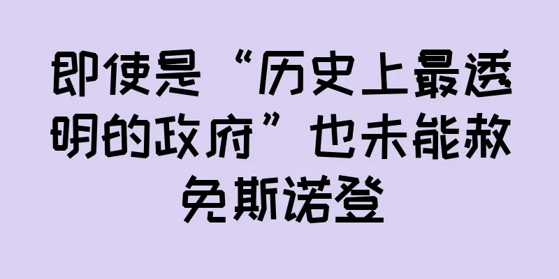 即使是“历史上最透明的政府”也未能赦免斯诺登