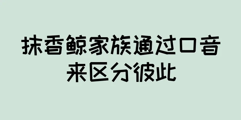 抹香鲸家族通过口音来区分彼此