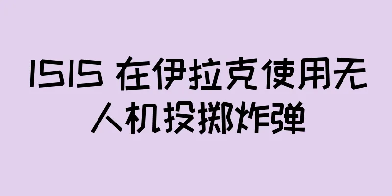 ISIS 在伊拉克使用无人机投掷炸弹