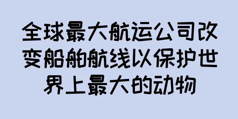 全球最大航运公司改变船舶航线以保护世界上最大的动物