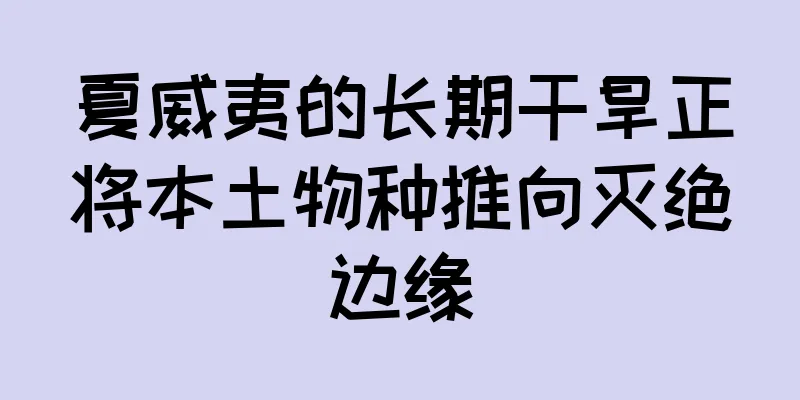夏威夷的长期干旱正将本土物种推向灭绝边缘