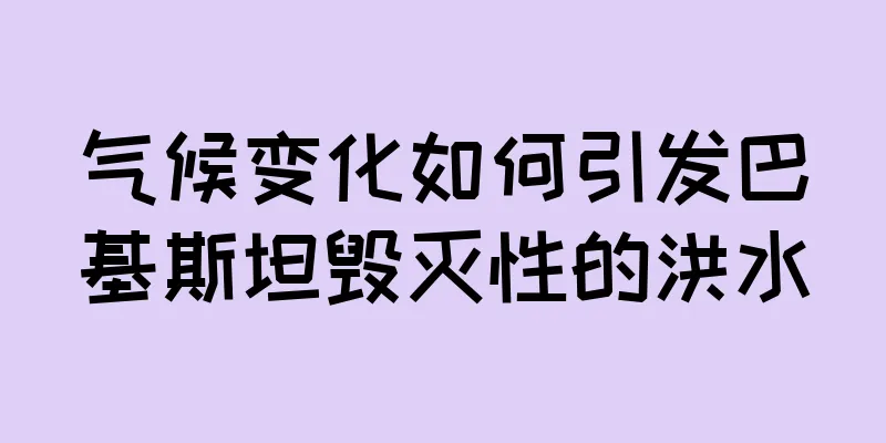 气候变化如何引发巴基斯坦毁灭性的洪水