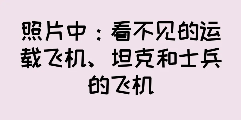 照片中：看不见的运载飞机、坦克和士兵的飞机