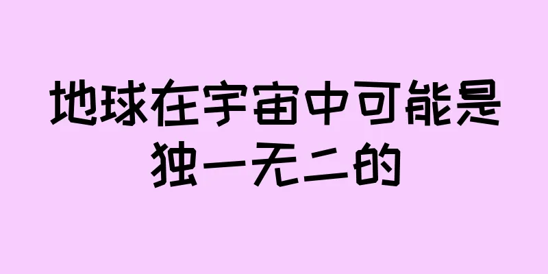 地球在宇宙中可能是独一无二的