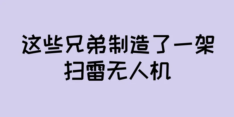 这些兄弟制造了一架扫雷无人机