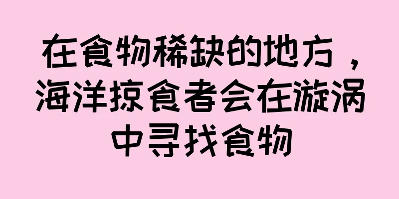 在食物稀缺的地方，海洋掠食者会在漩涡中寻找食物