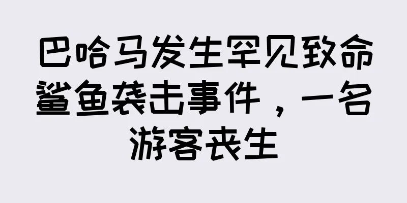 巴哈马发生罕见致命鲨鱼袭击事件，一名游客丧生