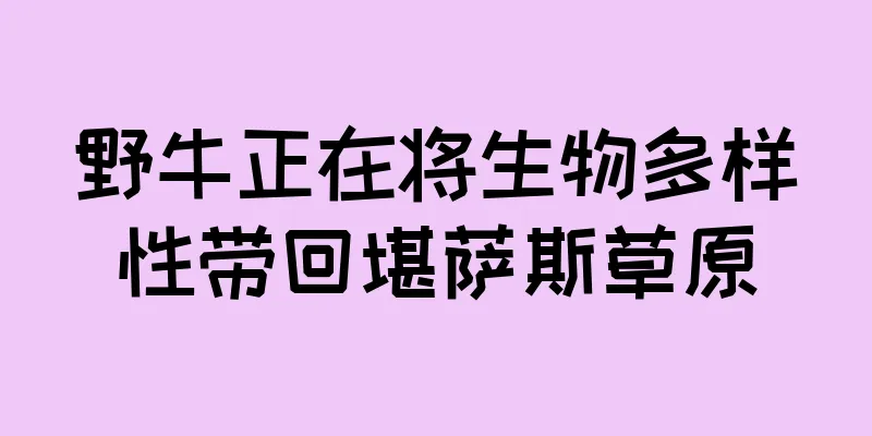 野牛正在将生物多样性带回堪萨斯草原