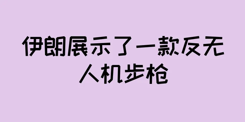 伊朗展示了一款反无人机步枪