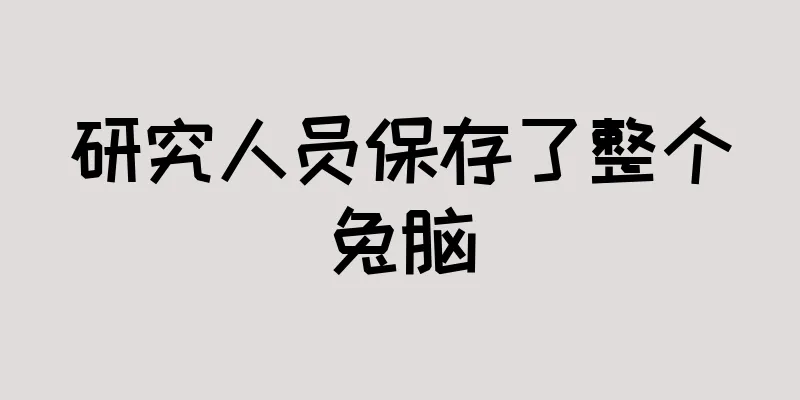 研究人员保存了整个兔脑