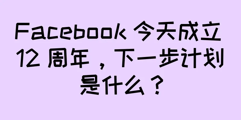 Facebook 今天成立 12 周年，下一步计划是什么？